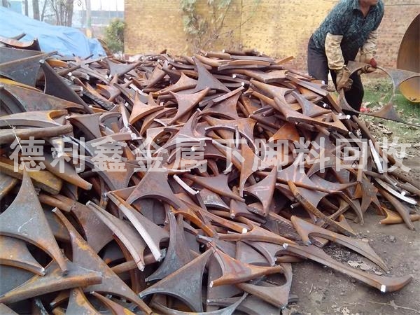 4364045.jpg 4364045.jpg