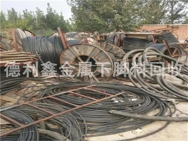 74397546.jpg 74397546.jpg